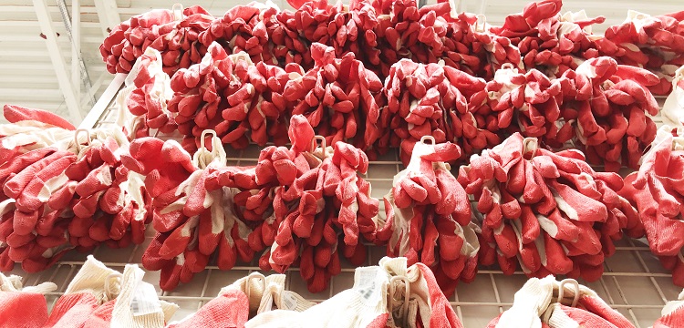 消毒效果檢測合格報告書有什么內容?洗碗機有沒有除菌效果 