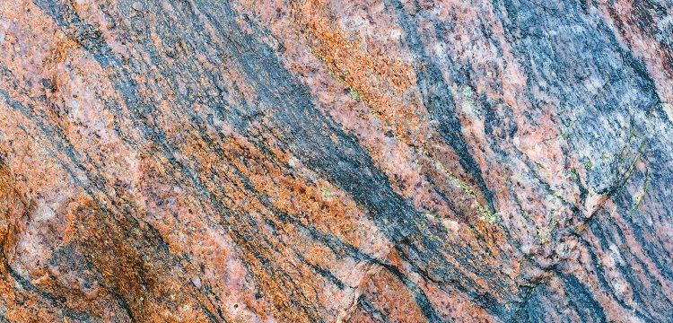 2022年廣東省最新林業碳匯申報要求匯總：方法學、申報模板、材料清單