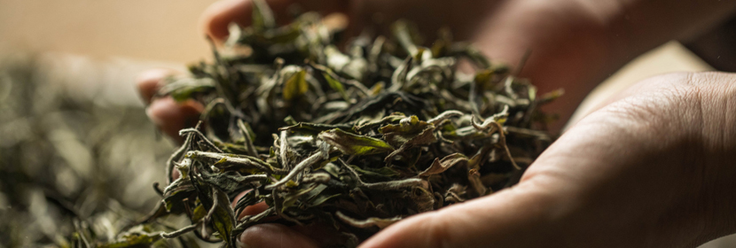 茶葉測(cè)試