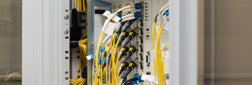 熒光強(qiáng)度測定