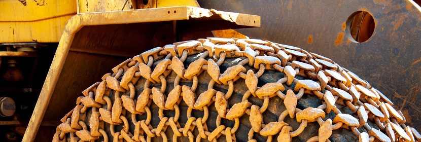 泊洛沙姆407誘導(dǎo)金黃倉鼠脂代謝異常