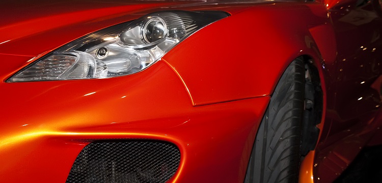 慢性粒細(xì)胞白血病轉(zhuǎn)基因斑馬魚(yú)模型