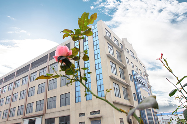 工業(yè)甲酸鉀檢測