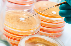 梅花扳手檢測(cè)