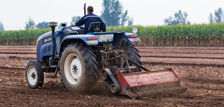 粗晶環(huán)檢測