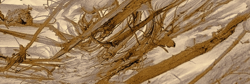 檸檬酸檢測(cè)