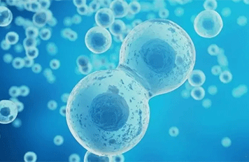 高熔點(diǎn)蠟檢測(cè)