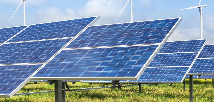 焦化咔唑檢測(cè)