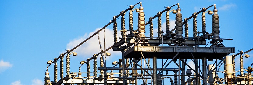 苯胺藍(lán)檢測