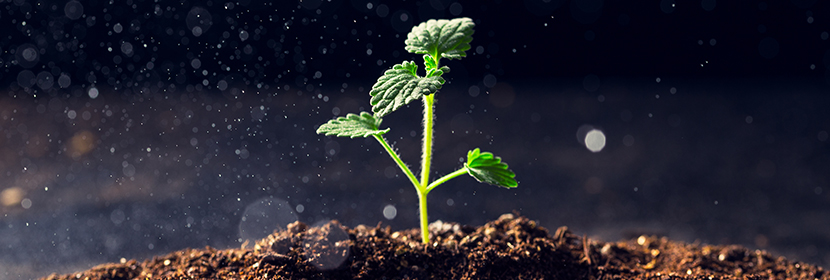 農業用硝酸銨鈣檢測