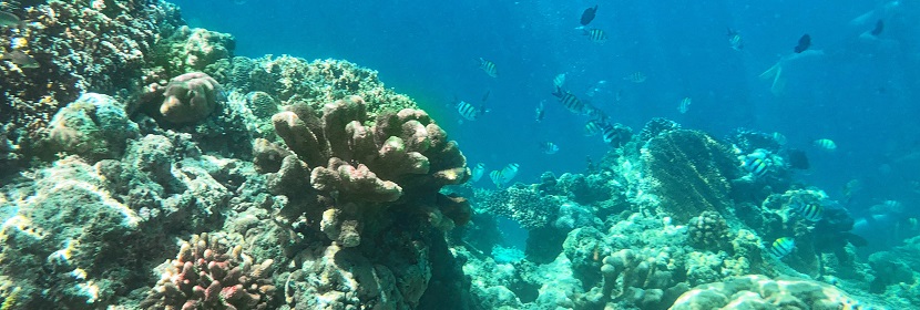 海洋沉積物檢測(cè)