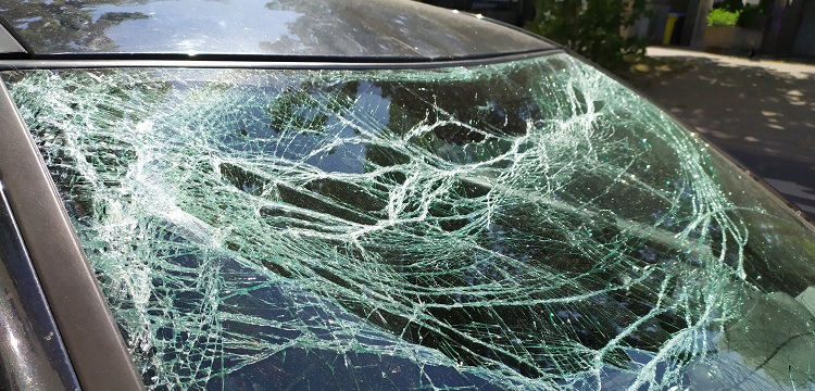 幾丁質(zhì)酶檢測