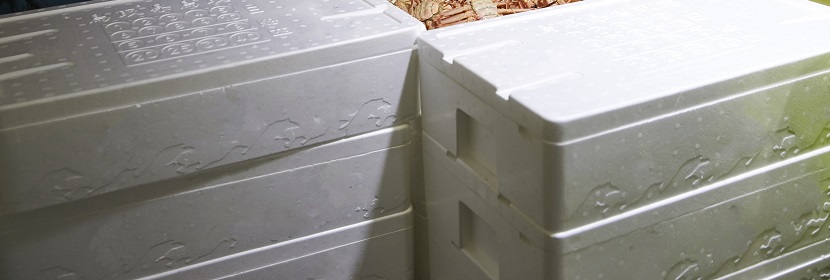 動態(tài)緩沖性能