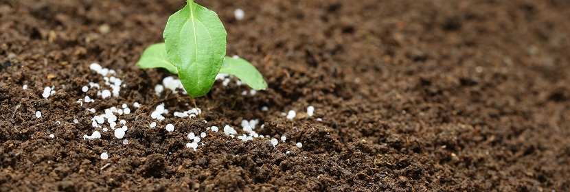 生物源黃腐酸鉀檢測