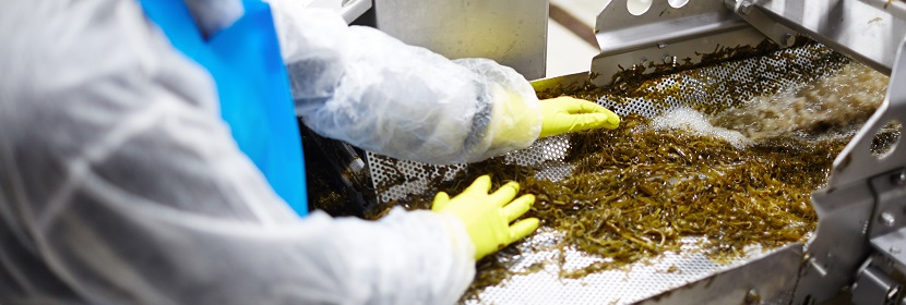 食品GMP車間檢測(cè)