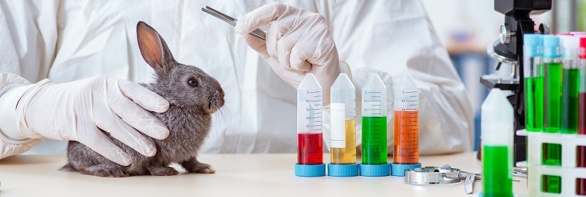 手消毒劑急性經(jīng)口毒性