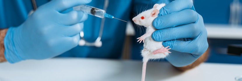 普通物體表面消毒劑一次完整皮膚刺激試驗