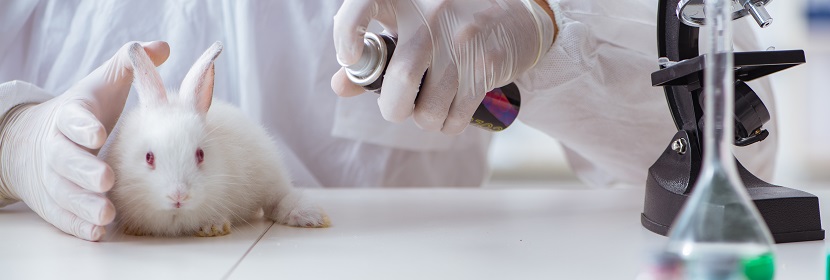 洗滌消殺產(chǎn)品皮膚刺激試驗(yàn)