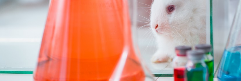 空氣消毒劑急性經(jīng)口毒性試驗(yàn)