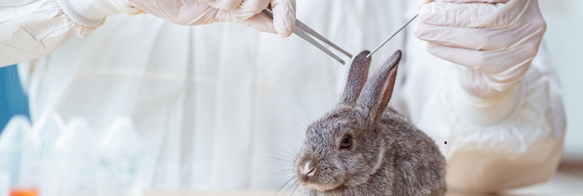 一次性使用衛(wèi)生用品皮膚變態(tài)反應(yīng)試驗