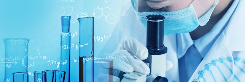 生物質棒狀成型炭檢測