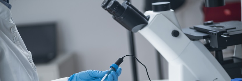 農業用乙烯-乙酸乙烯酯共聚物（EVA）吹塑棚膜檢測