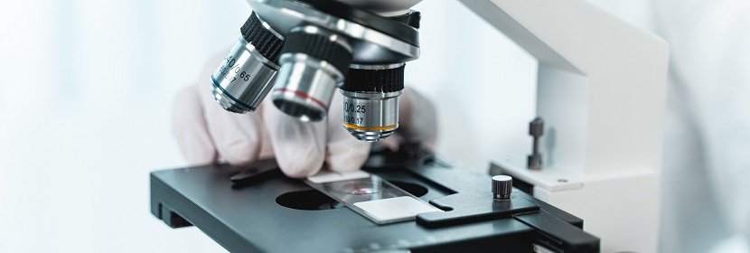 甲基二硅氮烷偶聯(lián)劑檢測(cè)