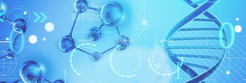 橢圓截面塑性密封圈檢測