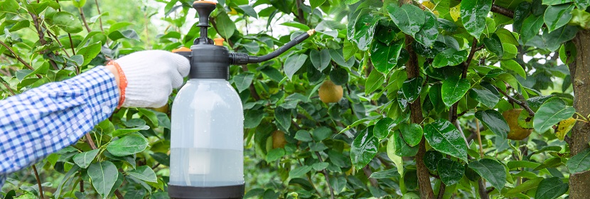 農(nóng)藥登記毒理學(xué)試驗(yàn)