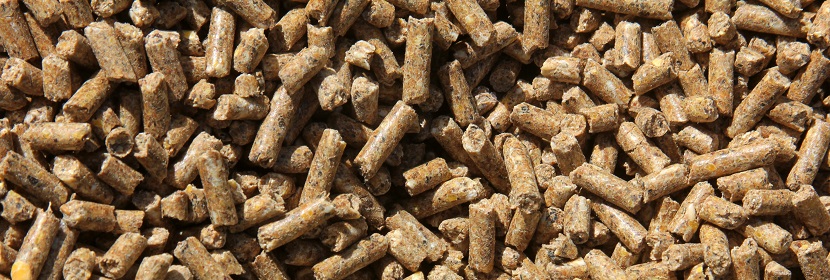 飼料中多氯聯(lián)苯檢測