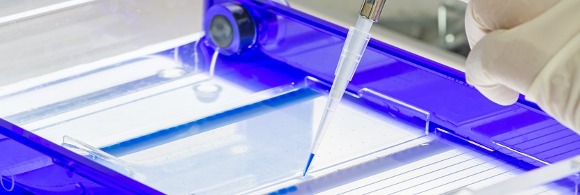 陰極電泳涂料檢測